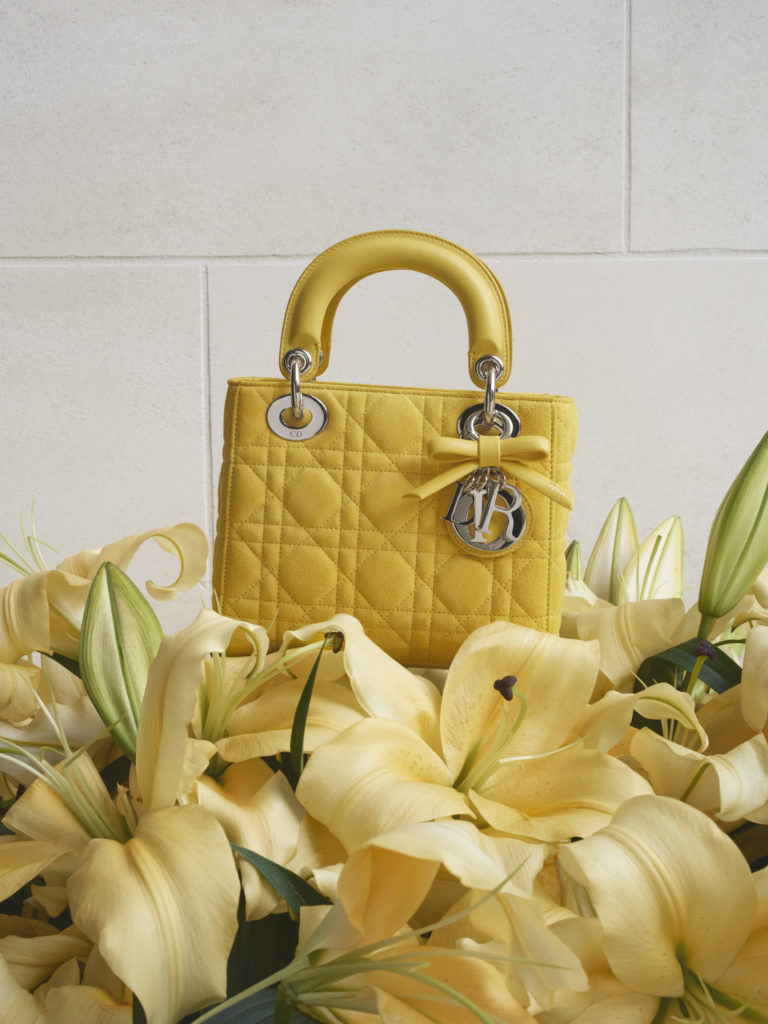 1681_DIO_001_0166_R_V3_300DPI-RGB