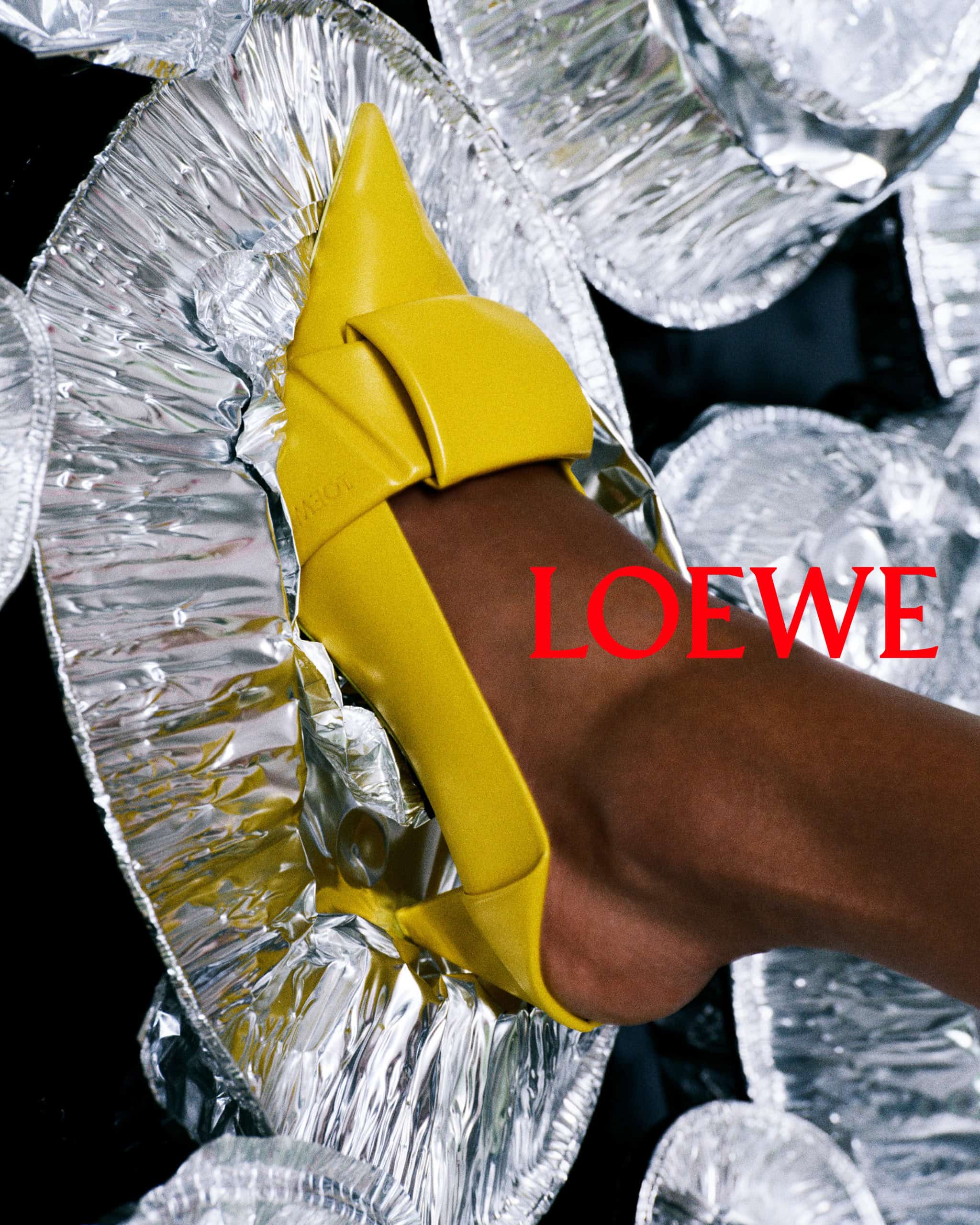 LOEWE SS26 CAMPAIGN STILL LIFE 4